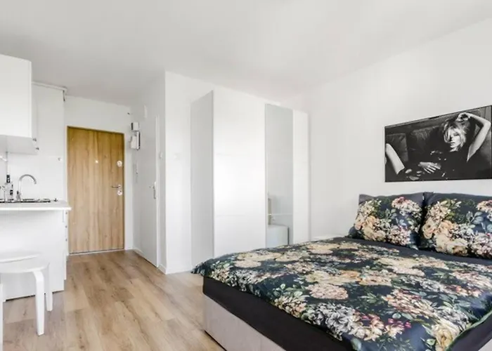 20M2 Studio, Near Chopin Airport, Cozy And Quite